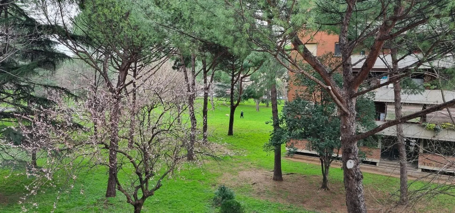 Lucia'S Guest House - Casa Vacanze Rome